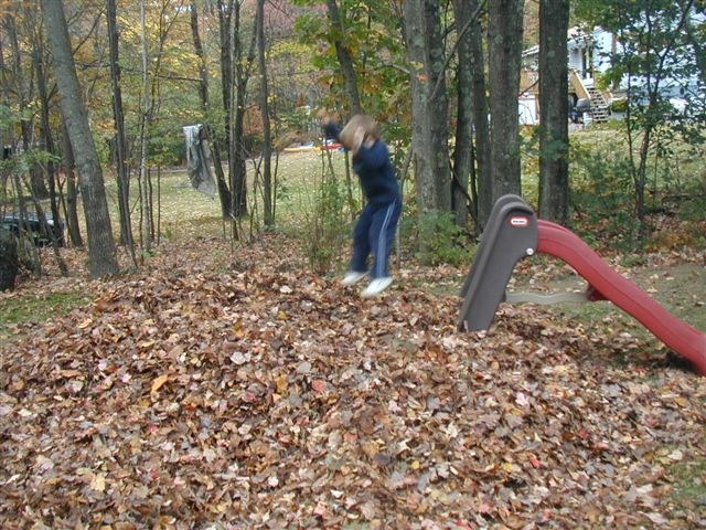 kid leaf pile.jpg